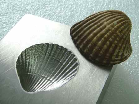 mold steel sample